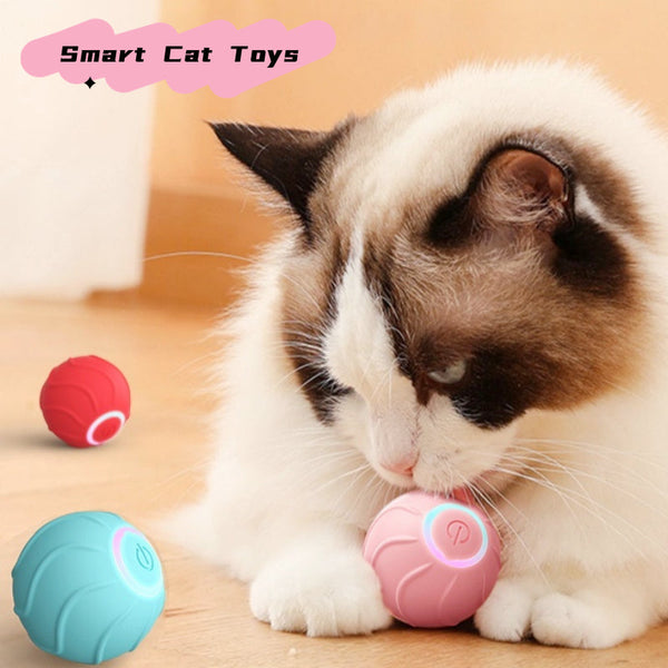 Pet Supplies